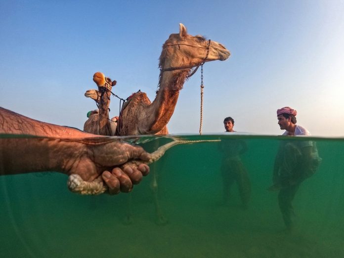 © Shyjith Onden Cheriyath/Siena International Photo Awards 2023; Journeys & Adventures