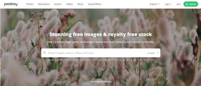 All The Info You Need On Getty Images for Nonprofits (+ Alternatives)
